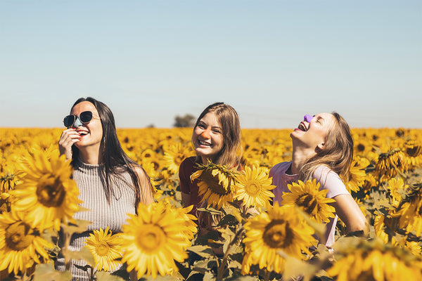 Three friends laughing in a bright yellow sunflower field with Nöz sunscreen on their noses. 